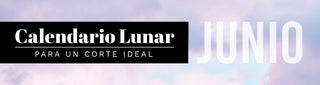 Calendario Lunar Junio🌙