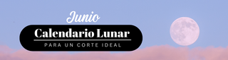 🌙 Calendario Lunar de Junio: Conecta con la Energía de la Luna y Potencia tus Rituales de Bienestar ✨