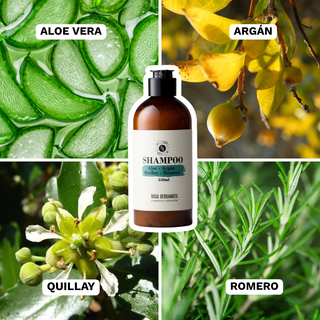 Básicos Anticaída: Shampoo Anticaída + Agua de Romero